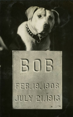 Henry Gautschi & Sons, Manufacturer of Musical Boxes, 1030 Chestnut Street, ca. 1880s