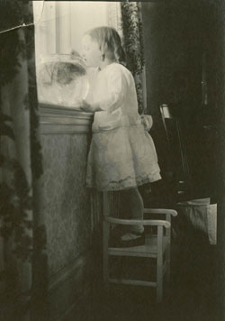 Jessie Wilcox Smith Collection