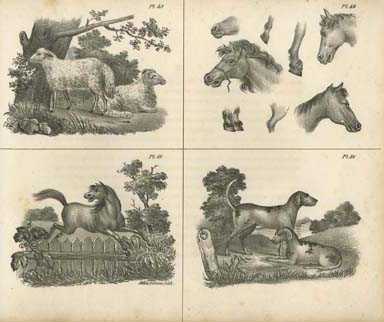 Pl. 48-51. Crayon lithograph printed by John Collins, in N. Whittock, The Oxford Drawing Book, or, The Art of Drawing, and the Theory and Practice of Perspective (New York: Collins, Keese & Co., 1840). 