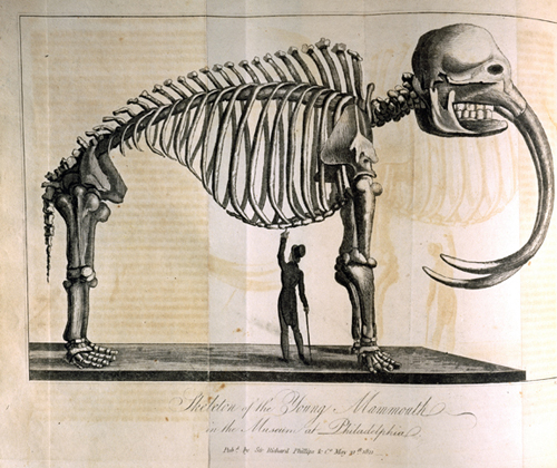Édouard de Montulé, Voyage en Amérique, en Italie, en Sicile, et en Egypte, Pendant les Années (London: Printed for Sir Richard Phillips and Co., 1821). Lithographed illustration showing the “Skeleton of the Young Mammoth in the Philadelphia Museum.” 