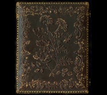 Unidentified Dickerson Family Member. Quarter-plate daguerreotype. Philadelphia, ca. 1855. 
