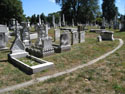 Map, survey, and photograph of the Struthers Family lot. On loan from Laurel Hill Cemetery.