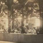 Horticultural Department, A. Watson, albumen print photograph (Philadelphia, 1864).