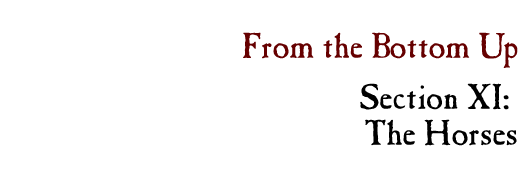 From the Bottom Up, Section I: Introduction